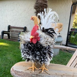 Meet your Posher, RM1908